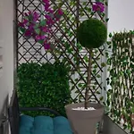 Apartamento Domenica 1