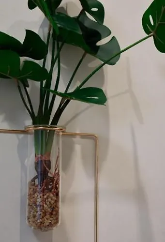 Domenica 1 Apartamento Tessalónica