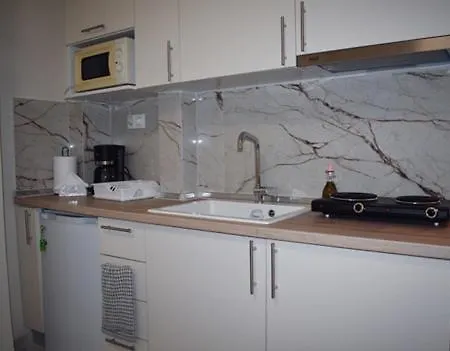 公寓 Domenica 1 塞萨洛尼基