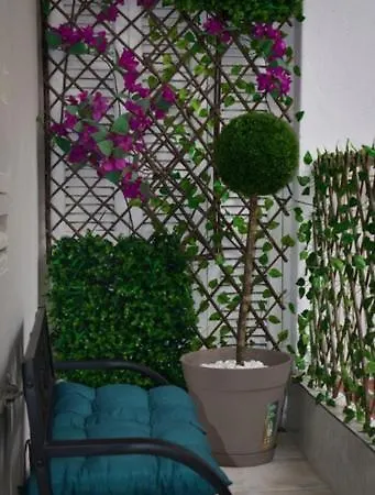 Apartment Domenica 1